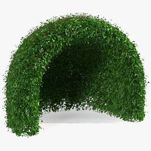 green gazebo shrub 3D model