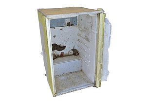 3D old junk fridge model
