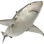 Pigeye Shark Rigged for Cinema 4D 3D Model