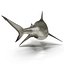 Pigeye Shark Rigged for Cinema 4D 3D Model
