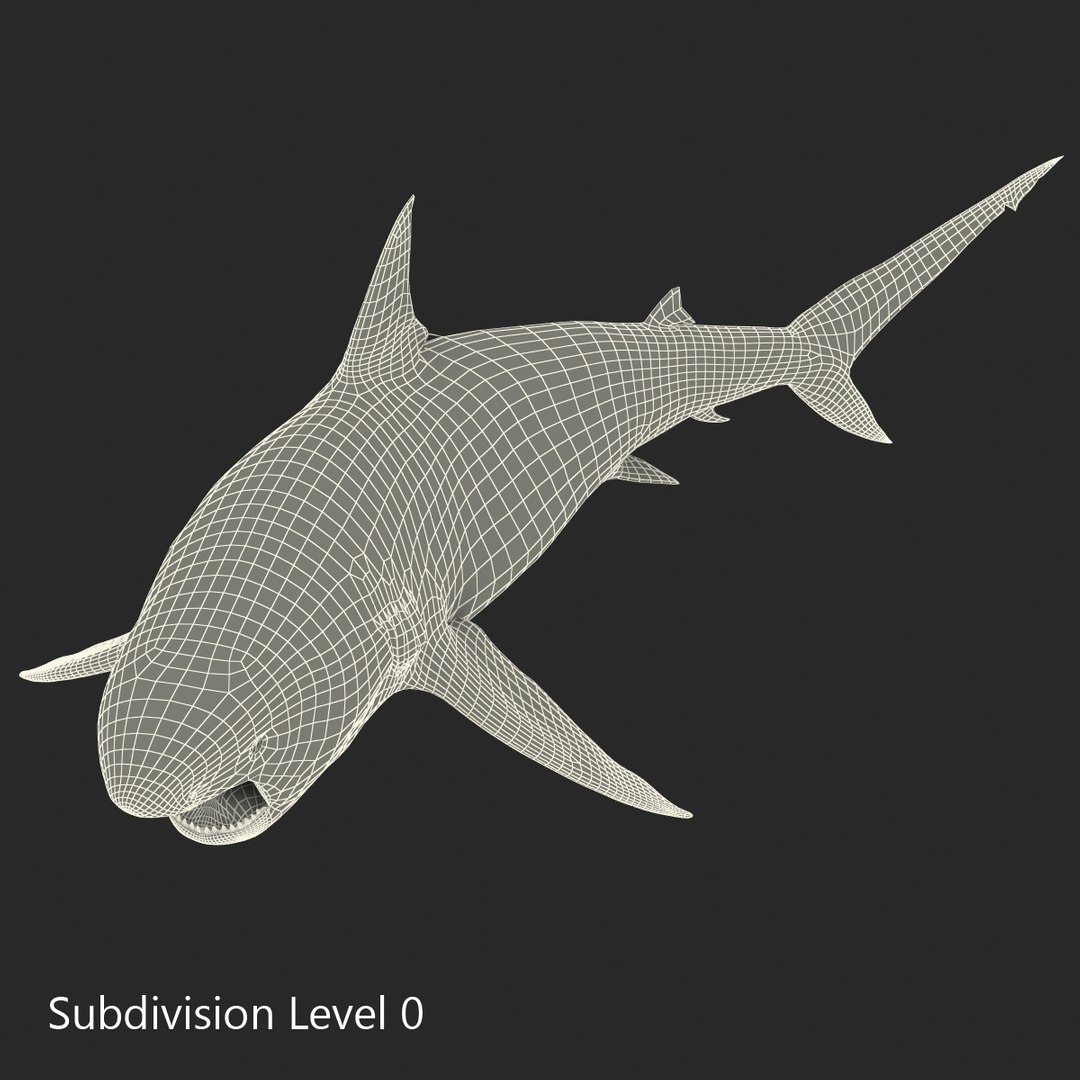 pigeye shark rigged 3d c4d https://p.turbosquid.com/ts-thumb/eO/M9G09c/vbpXoDiP/pigeyesharkriggedcinema4d3dmodel29/jpg/1480504450/1920x1080/fit_q87/137d0d885bafe4cdc834571e0736fc4068b62f57/pigeyesharkriggedcinema4d3dmodel29.jpg