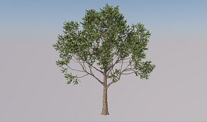 3D apple tree model