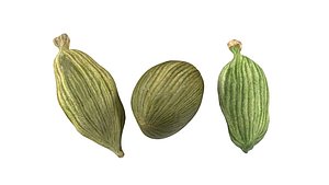 3D Dreid Green cardamom
