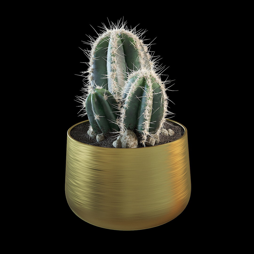 Cactus succulent pot 3D - TurboSquid 1338602