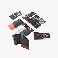 Tri Fold Leaflet 210mm