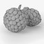 realistic anona fruit real 3d model
