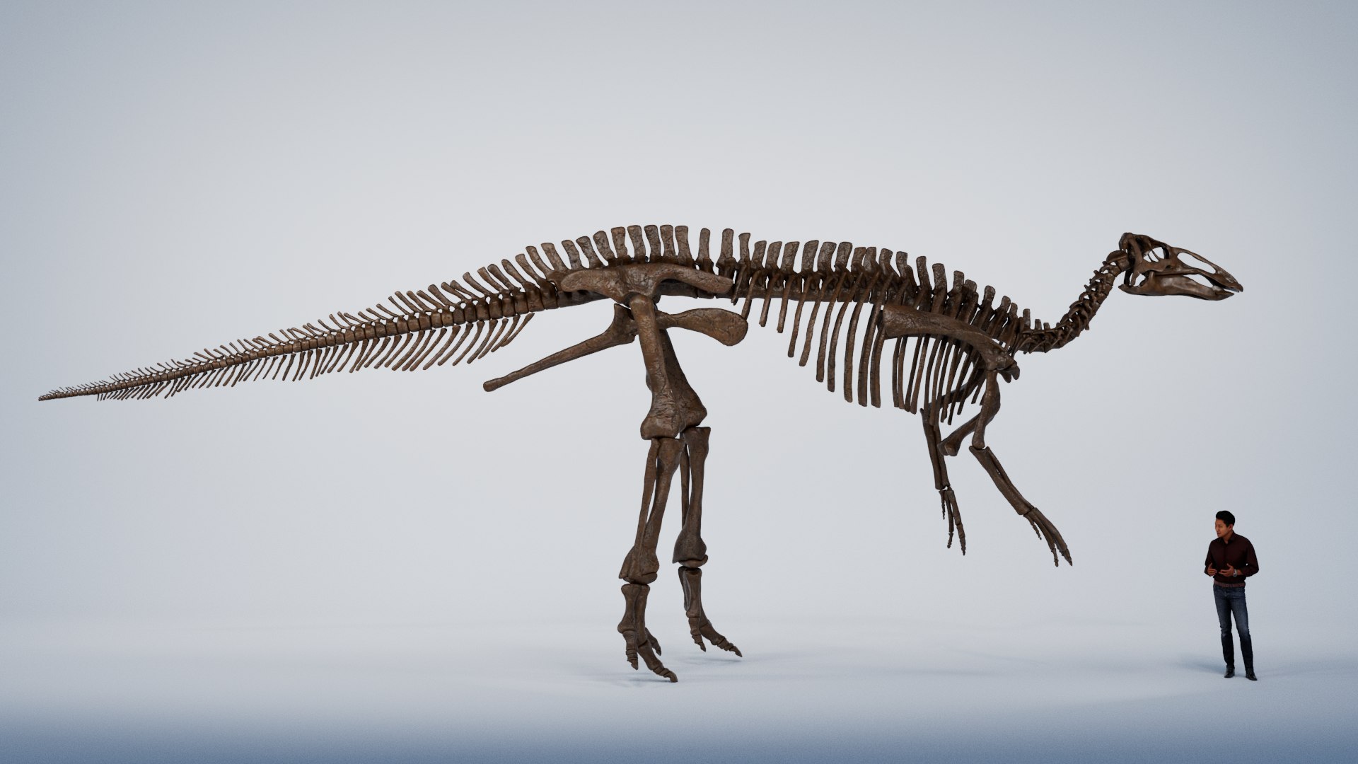 3D Edmontosaurus Skeleton - TurboSquid 2049065