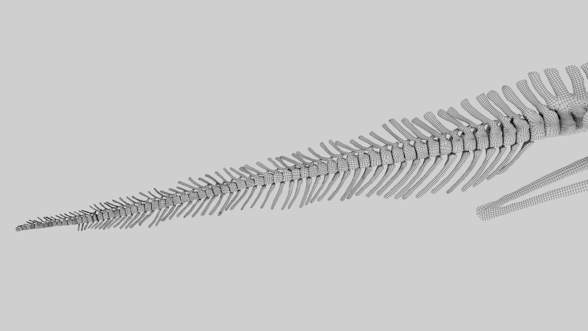 3D Edmontosaurus skeleton - TurboSquid 2049065