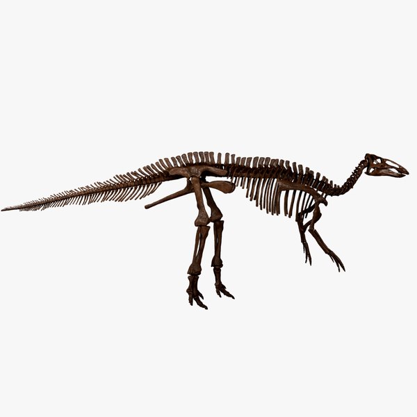 3D Edmontosaurus skeleton