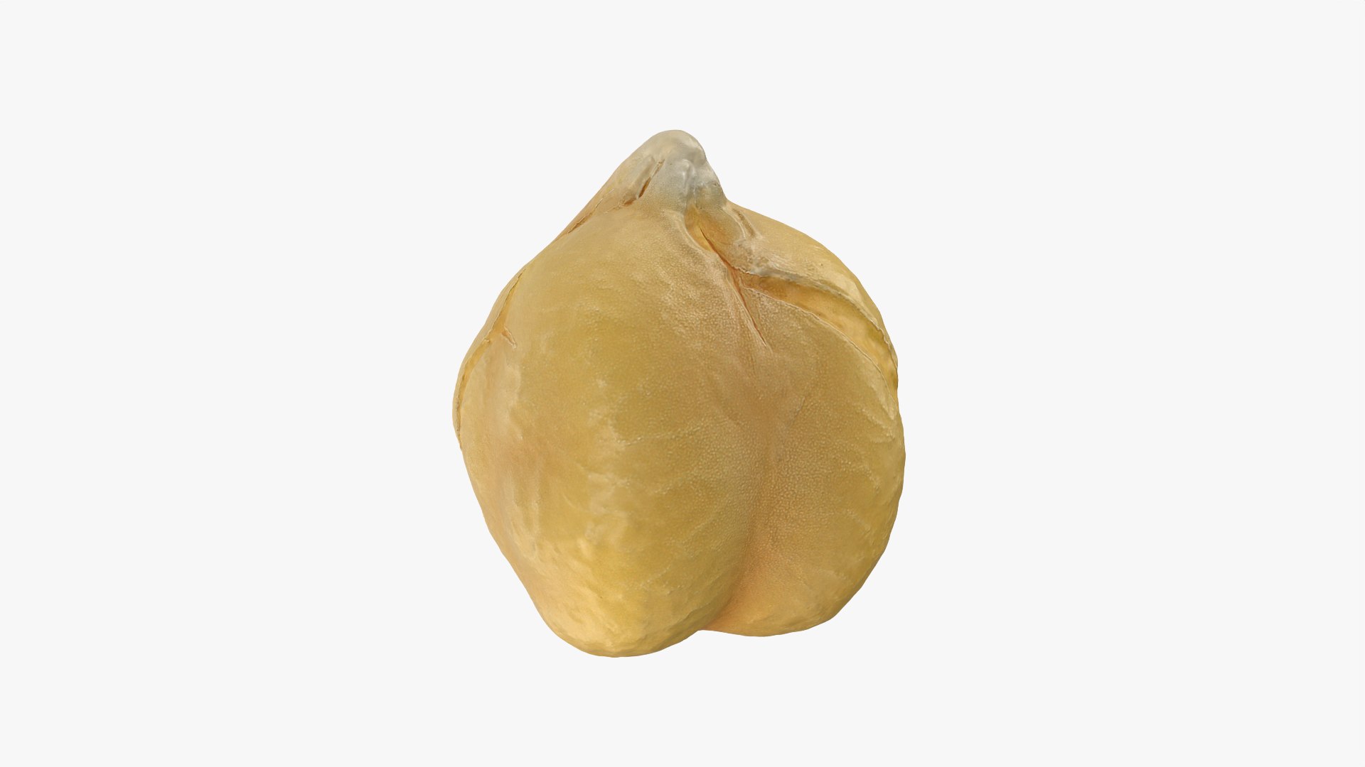 3D Boiled Chickpea Collection model https://p.turbosquid.com/ts-thumb/eP/2aq4ty/Bt/chickpeaboil02_0001/png/1765798338/1920x1080/fit_q87/b35385c716f0cebbc81389d9ba15f4deff08d5e9/chickpeaboil02_0001.jpg