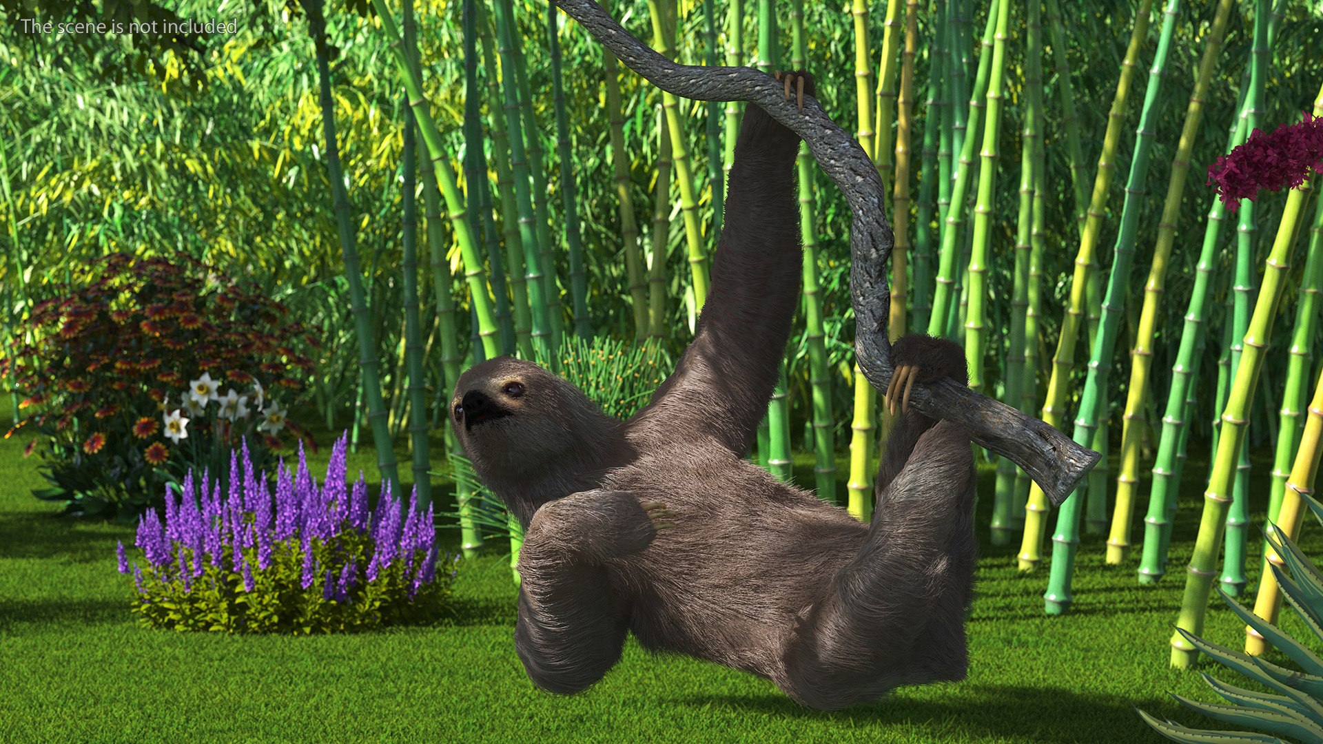 3D Model Sloth Hanging From A Branch Fur - TurboSquid 2177340