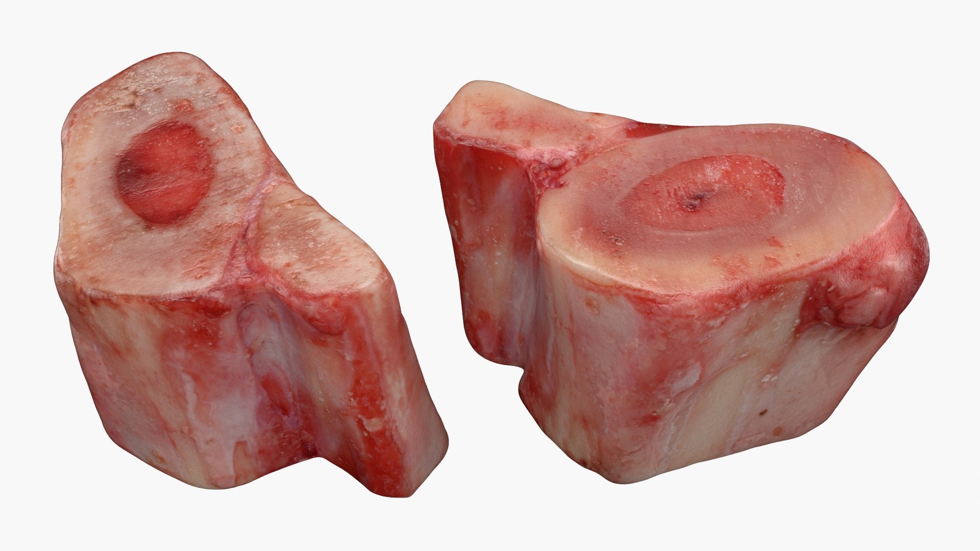Marrow Bone 03 3D model https://p.turbosquid.com/ts-thumb/eP/Mi5vAQ/3Q/marrowbone03_a0002/jpg/1629653305/1920x1080/fit_q87/fcd15520e0a157c0594ffa91722b0acf5de67499/marrowbone03_a0002.jpg
