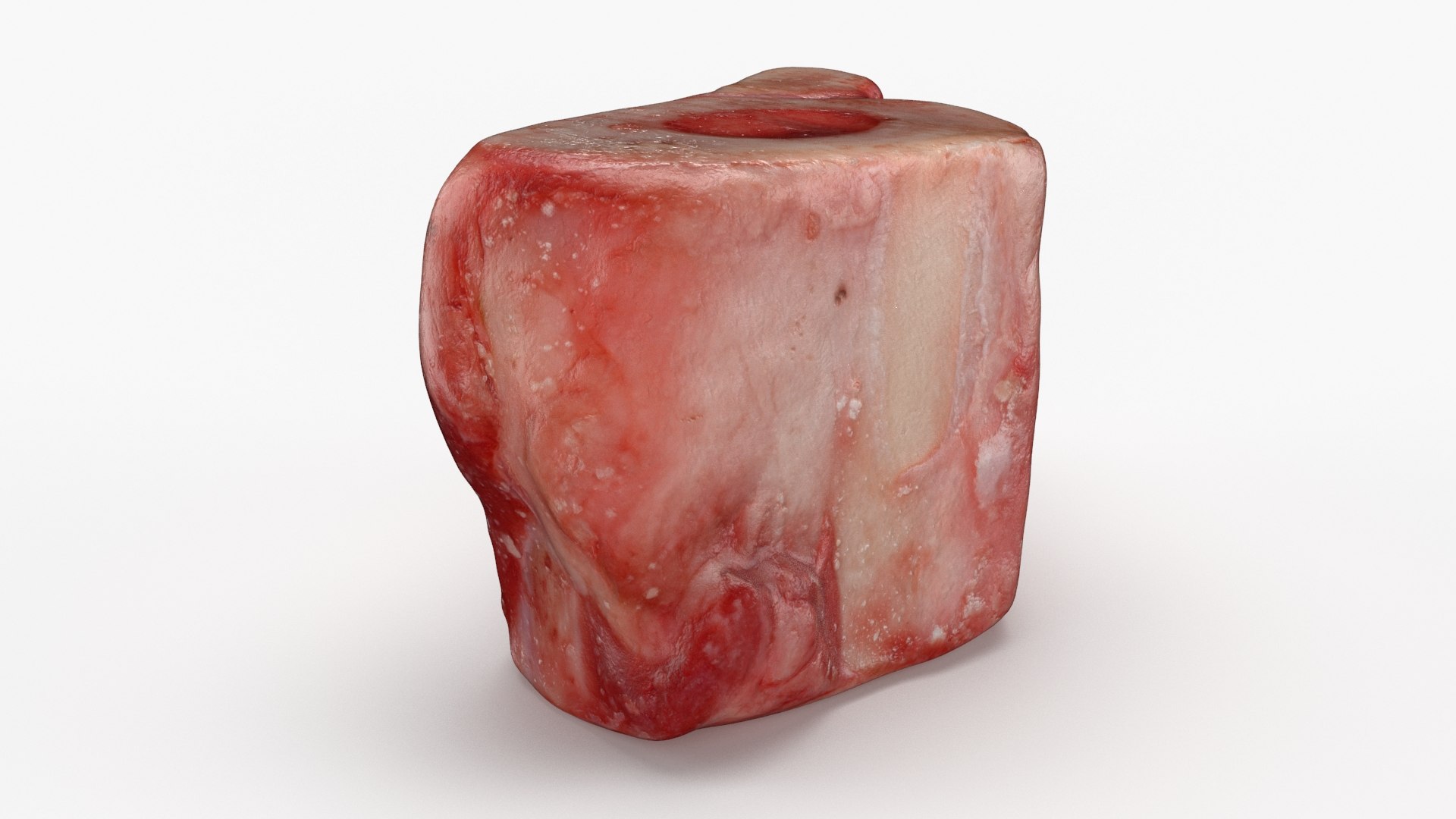 Marrow Bone 03 3D model https://p.turbosquid.com/ts-thumb/eP/Mi5vAQ/SP/marrowbone03_b0009/jpg/1629653289/1920x1080/fit_q87/963ca32771c3df370b7a4befde9b34024fcf6b09/marrowbone03_b0009.jpg