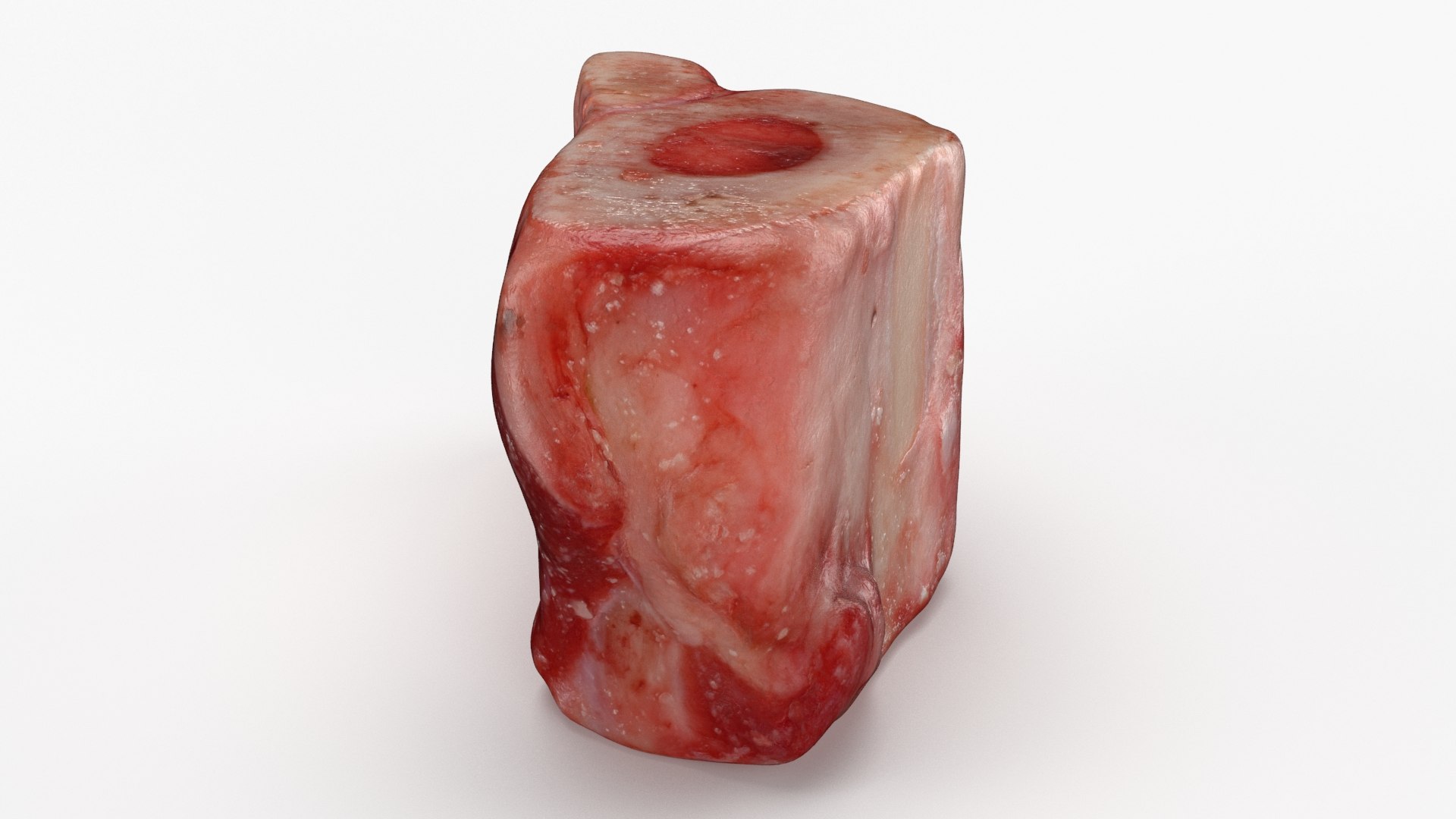 Marrow Bone 03 3D model https://p.turbosquid.com/ts-thumb/eP/Mi5vAQ/XN/marrowbone03_b0030/jpg/1629653269/1920x1080/fit_q87/806f67f124fb319d7a425b4bae19a7d92b156183/marrowbone03_b0030.jpg