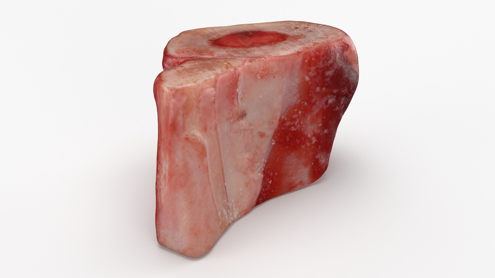 Marrow Bone 03 3D model https://p.turbosquid.com/ts-thumb/eP/Mi5vAQ/Y1/marrowbone03_b0021/jpg/1629653267/1920x1080/fit_q87/dbafc8aeccfa2a6111b675d07936d64154e31bbc/marrowbone03_b0021.jpg