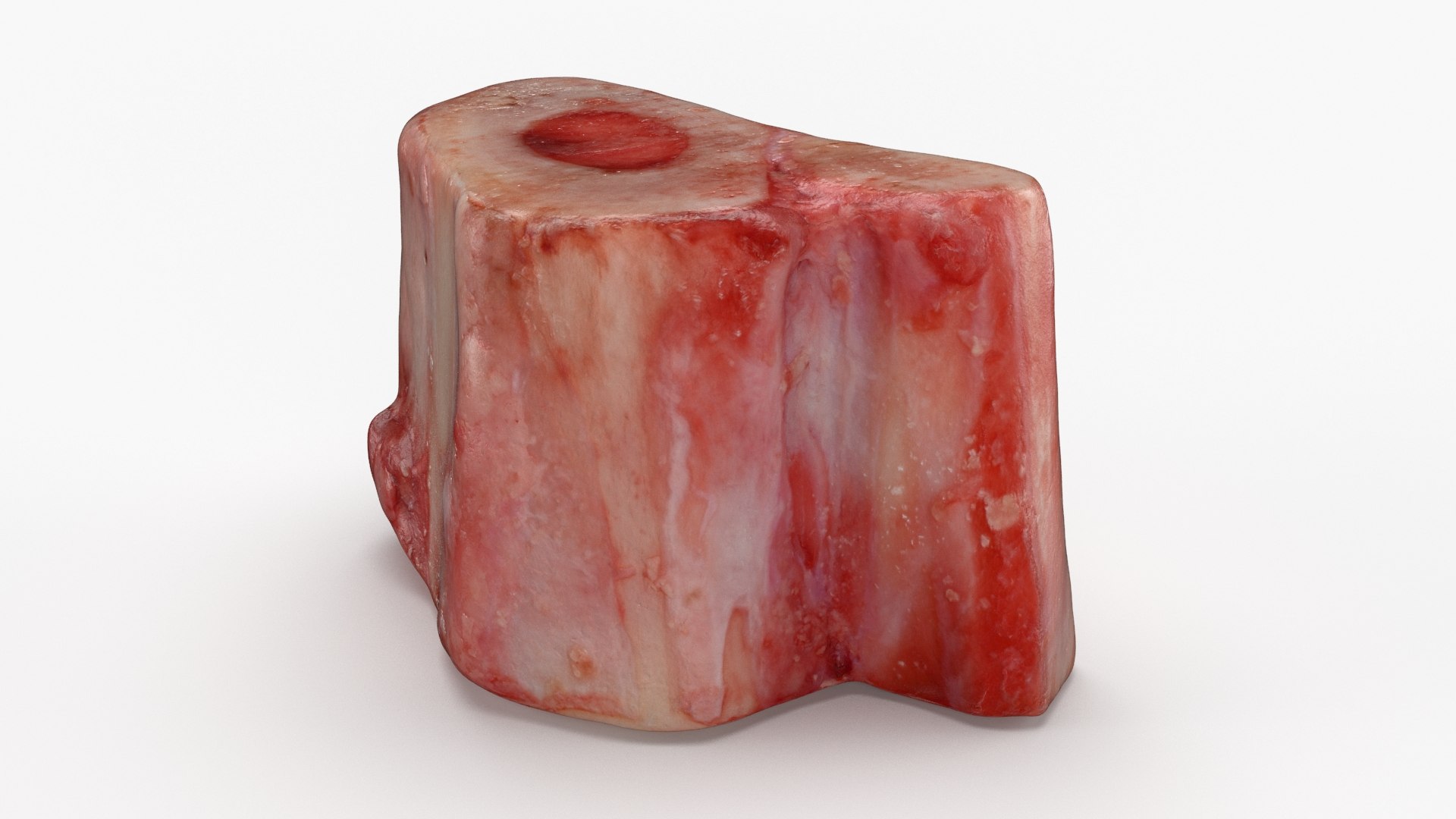 Marrow Bone 03 3D model https://p.turbosquid.com/ts-thumb/eP/Mi5vAQ/Zk/marrowbone03_b0024/jpg/1629653306/1920x1080/fit_q87/62ed8f8fc58dbc8935818d7d97df0935c60e99fa/marrowbone03_b0024.jpg