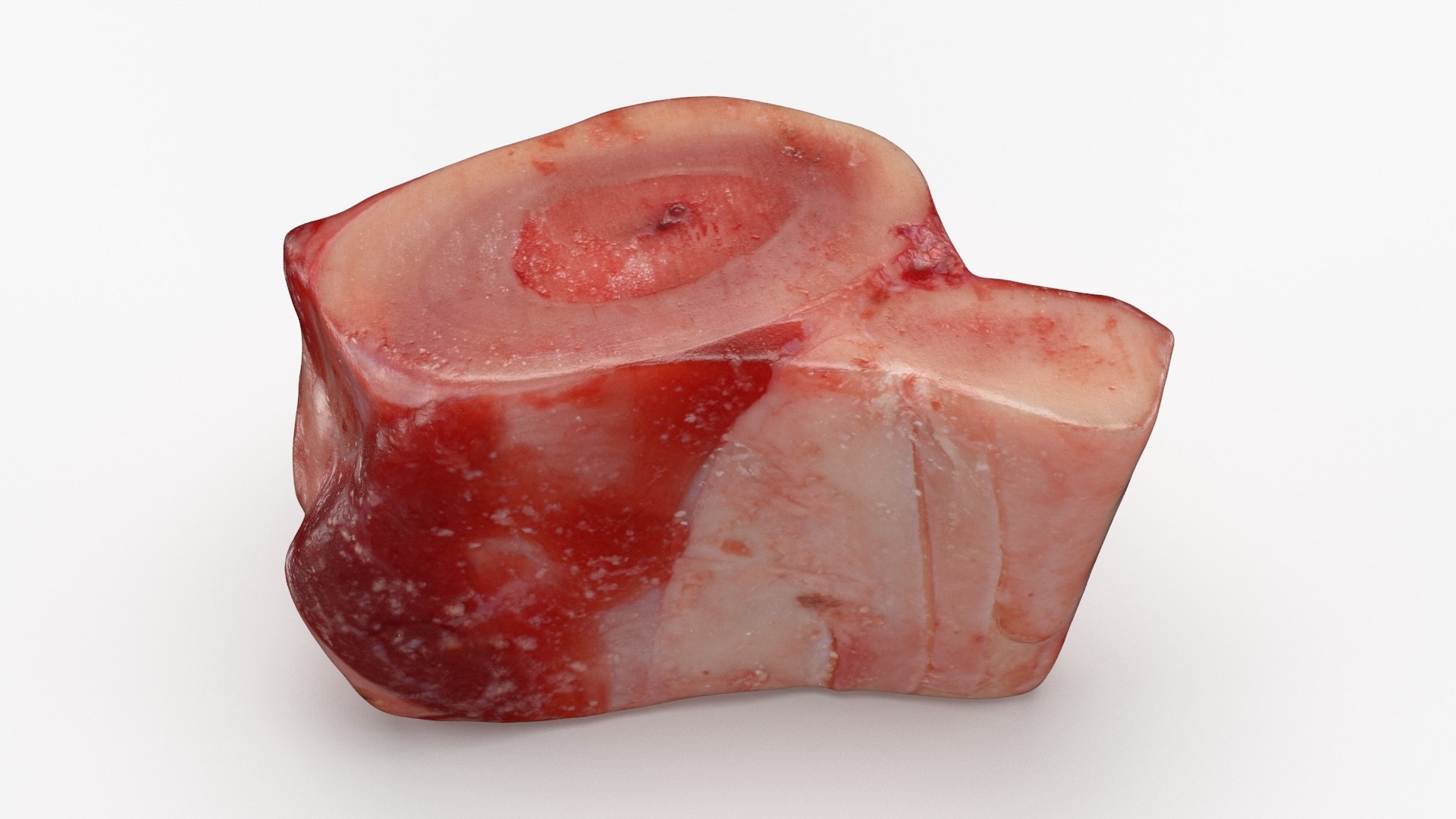 Marrow Bone 03 3D model https://p.turbosquid.com/ts-thumb/eP/Mi5vAQ/y4/marrowbone03_b0036/jpg/1629653326/1920x1080/fit_q87/0a27107f22f07402e813cae0cd1ca9e49872a5c6/marrowbone03_b0036.jpg