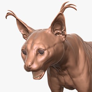 3D Caracal Primary Forms Zbrush Sculpt