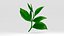 tea leaves 3D