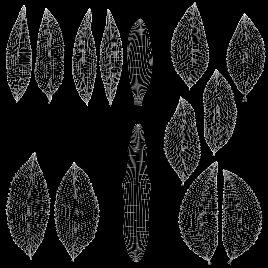 tea leaves 3D https://p.turbosquid.com/ts-thumb/eP/XLjb2s/YI/9/jpg/1765077166/1920x1080/fit_q87/a1a0670107b4adbe2cc17bc00c6d946551cd4911/9.jpg