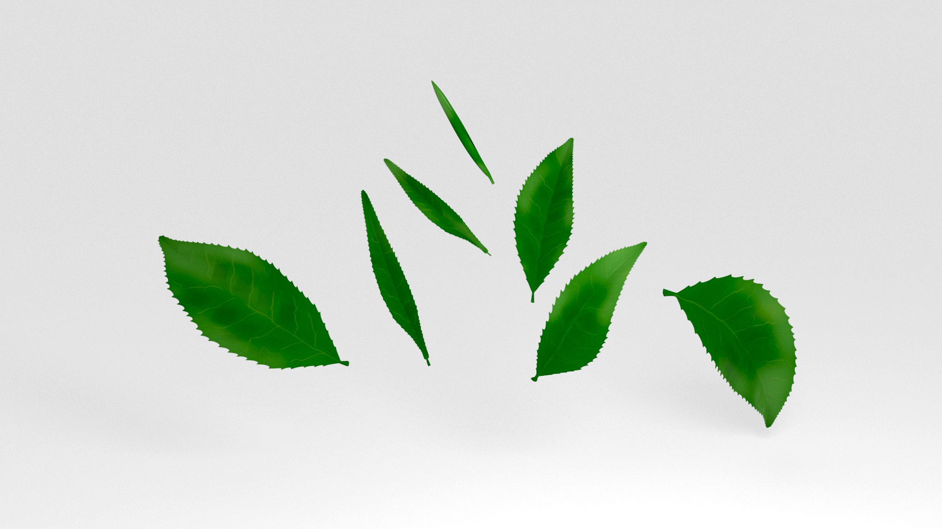 tea leaves 3D https://p.turbosquid.com/ts-thumb/eP/XLjb2s/s1/05/jpg/1765077157/1920x1080/fit_q87/c0cb0e982cf0d359c7df5b4929ddbbd077070b68/05.jpg