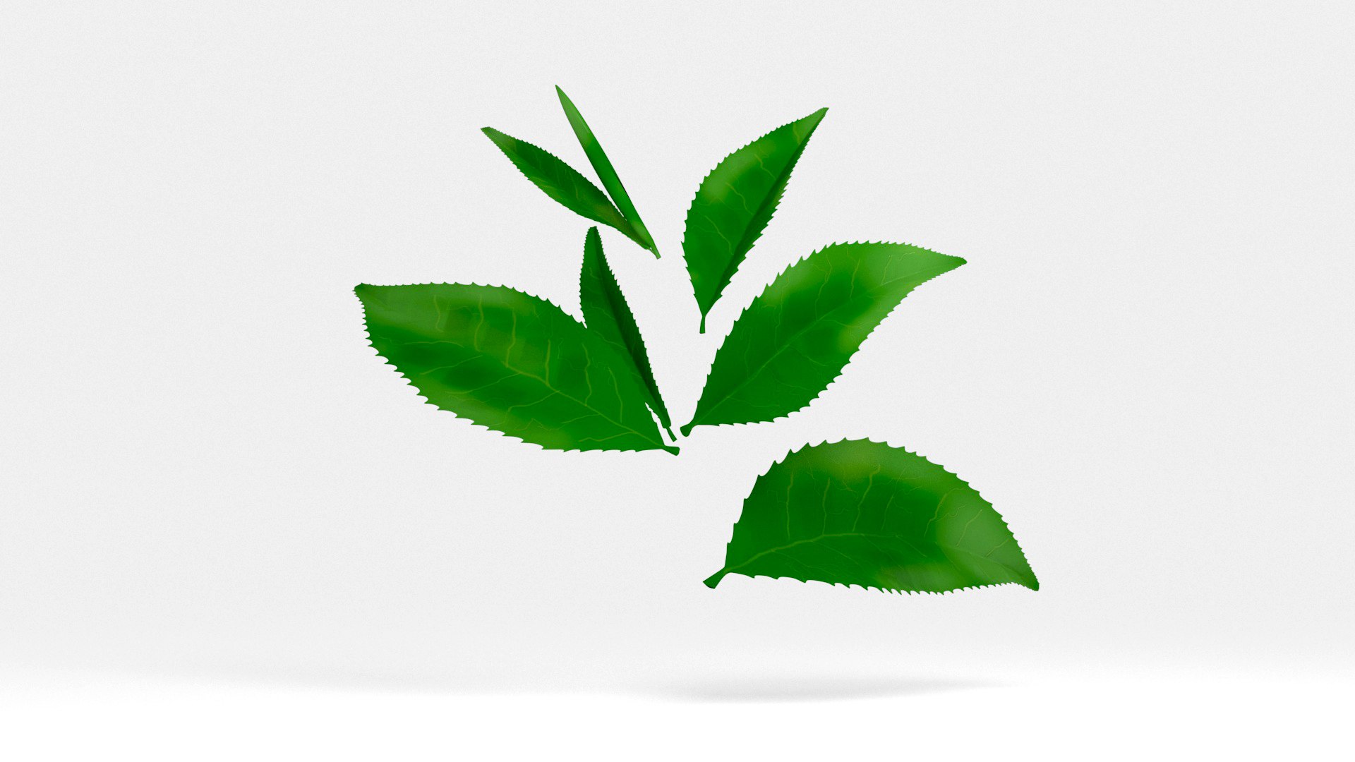 tea leaves 3D https://p.turbosquid.com/ts-thumb/eP/XLjb2s/si/03/jpg/1765077153/1920x1080/fit_q87/33dcedebe20a5620bacf22db9db8527de924ce52/03.jpg