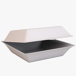 Food Takeout Box model