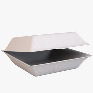 Food Takeout Box