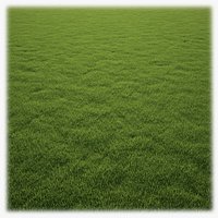 Grass Clump
