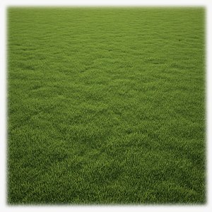 Grass Clump
