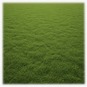 Grass Clump
