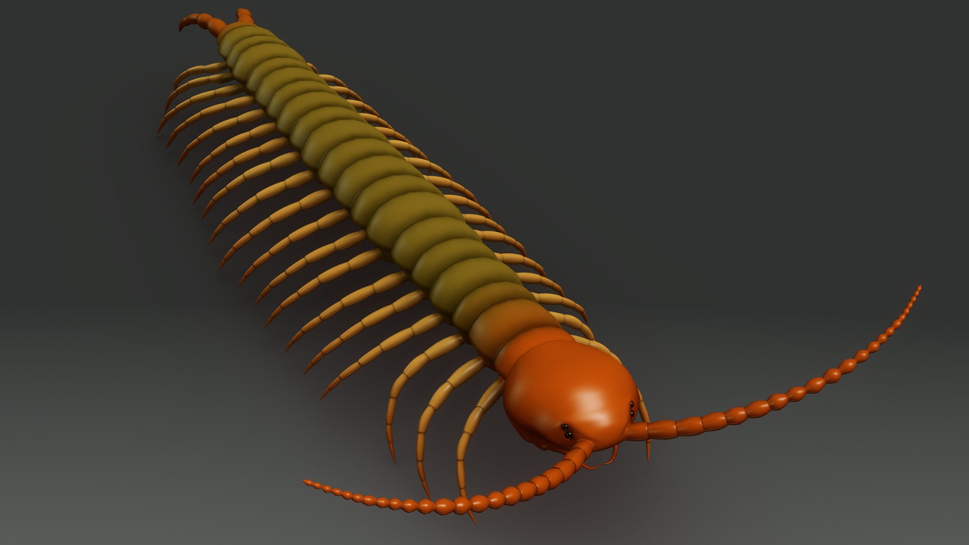 obj centipedes https://p.turbosquid.com/ts-thumb/eP/oLjIsi/MDjG2wlN/b0355centipede_aerial.0001/jpg/1472806744/1920x1080/fit_q87/577c383f83cd104a463feff7179c6c2d99161b8d/b0355centipede_aerial.0001.jpg