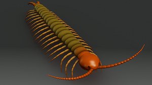 obj centipedes