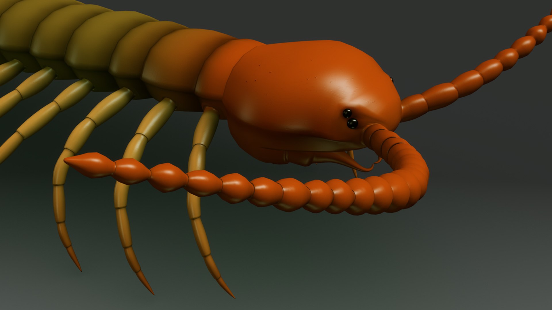 obj centipedes https://p.turbosquid.com/ts-thumb/eP/oLjIsi/WgHYQkNp/b0355centipede_closeup.0001/jpg/1472806744/1920x1080/fit_q87/007924adefb53da3238f10464f5d9b22b217c001/b0355centipede_closeup.0001.jpg