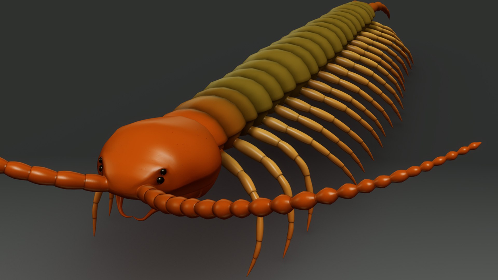 obj centipedes https://p.turbosquid.com/ts-thumb/eP/oLjIsi/zpDVQhlc/b0355centipede_perspective.0001/jpg/1472806744/1920x1080/fit_q87/1dabd9885aca58f34189d0ca8c1f68983d0a73f7/b0355centipede_perspective.0001.jpg