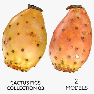 3D Cactus Figs Collection 03 - 2 models
