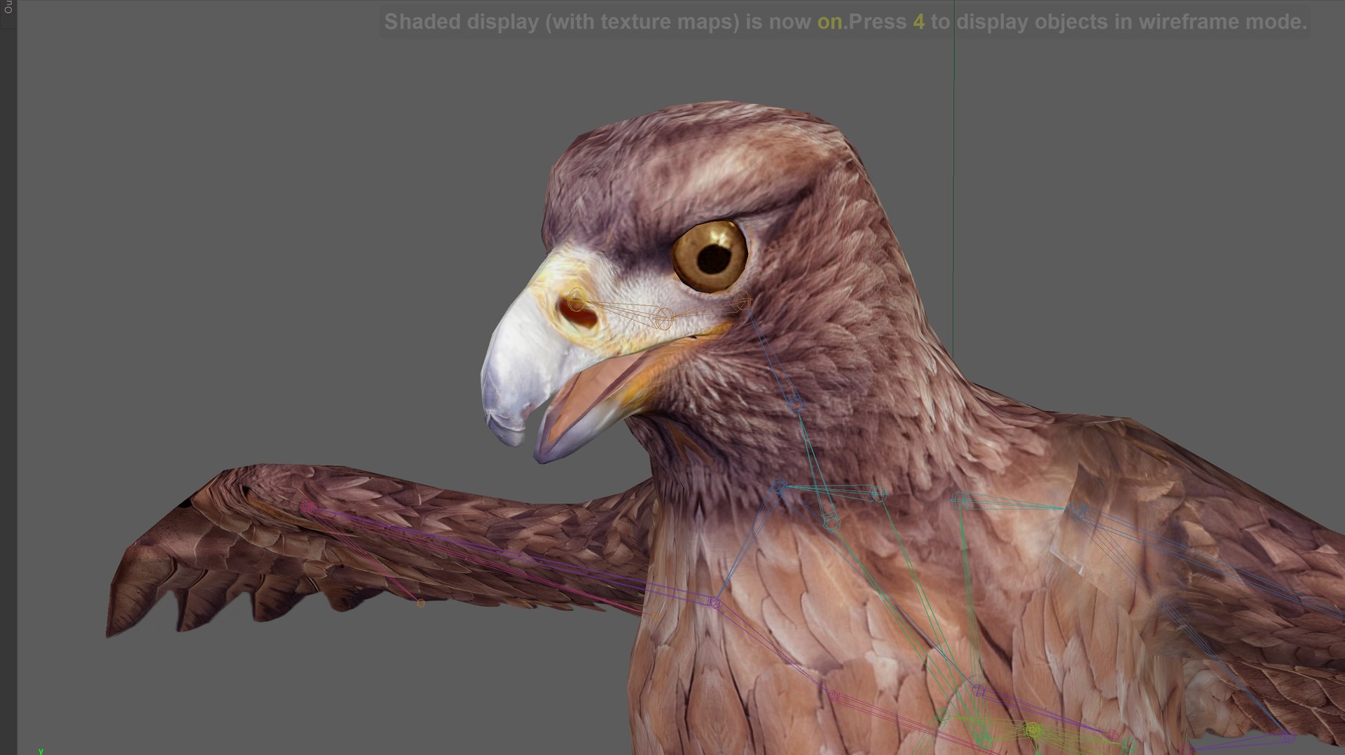 Eagle Rig Low Poly 3D Model - TurboSquid 2436130