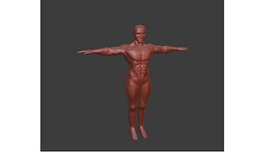 3D human base medium