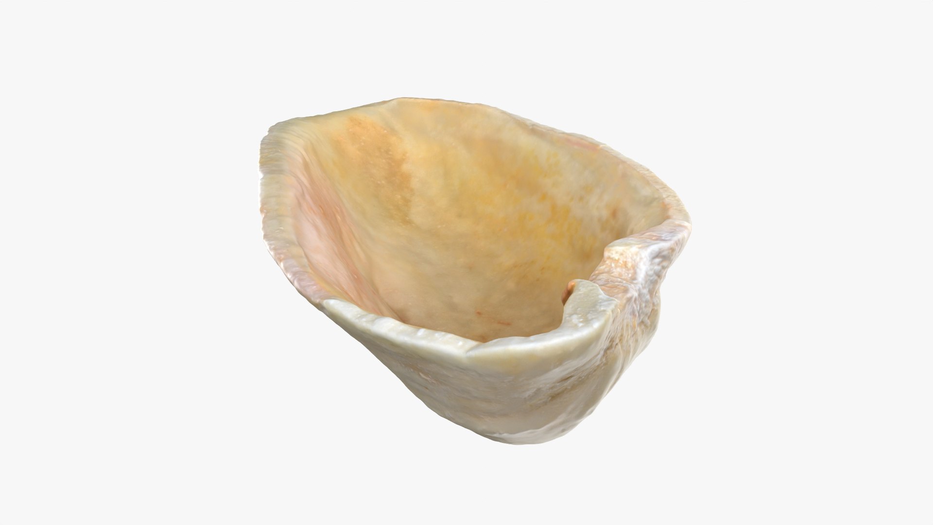 3D Empty Pistachio Shell 02 Raw Scan https://p.turbosquid.com/ts-thumb/eQ/Fg6ctJ/CR/pistachioshell2_0010/png/1755085740/1920x1080/fit_q87/8d78c18a3b8b1d94c89e062107db2ec40c8379a8/pistachioshell2_0010.jpg