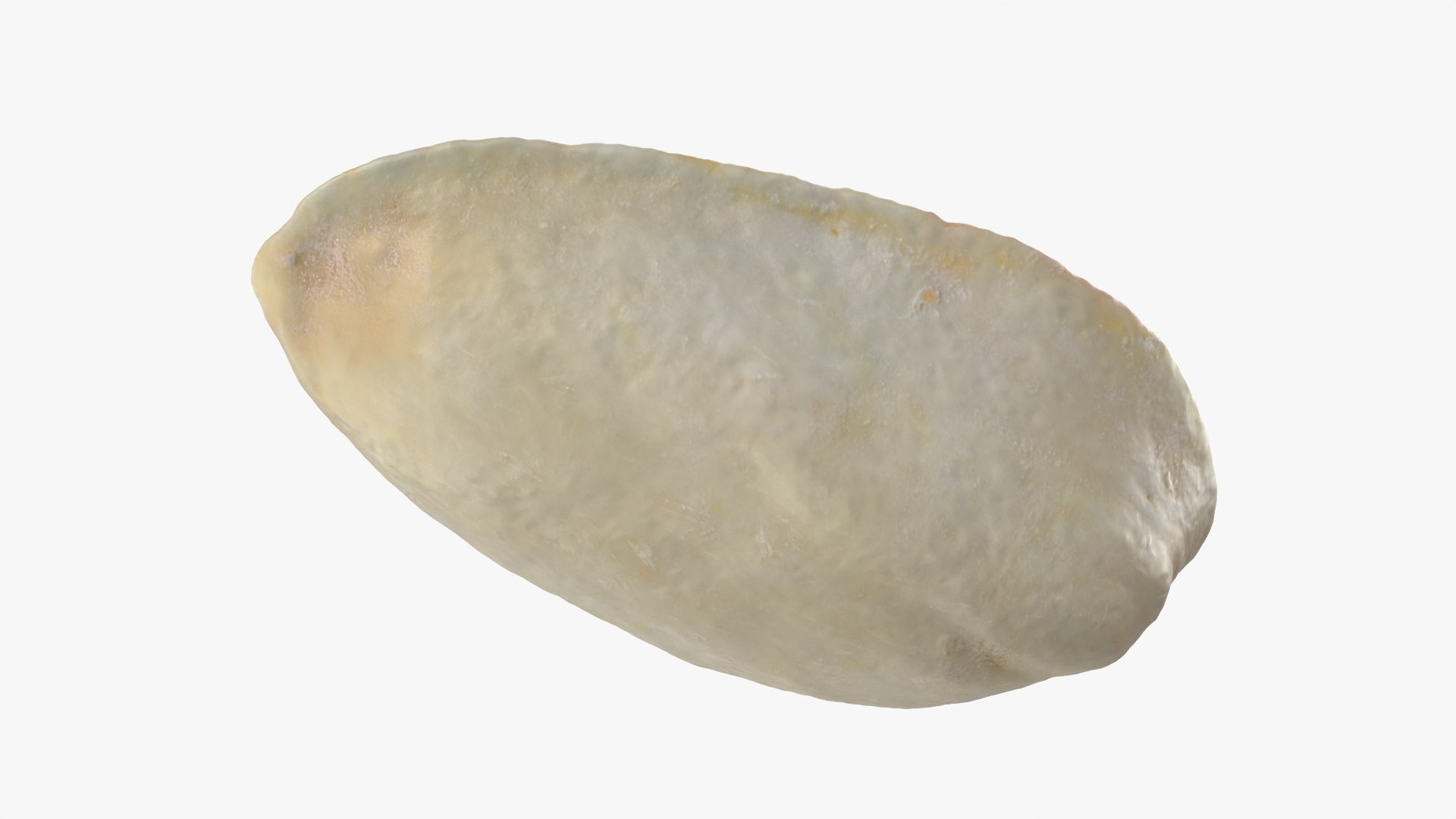 3D Empty Pistachio Shell 02 Raw Scan https://p.turbosquid.com/ts-thumb/eQ/Fg6ctJ/Dv/pistachioshell2_0003/png/1755085733/1920x1080/fit_q87/2f08a64c9f773f5885e2209e1dff778e378f71e5/pistachioshell2_0003.jpg