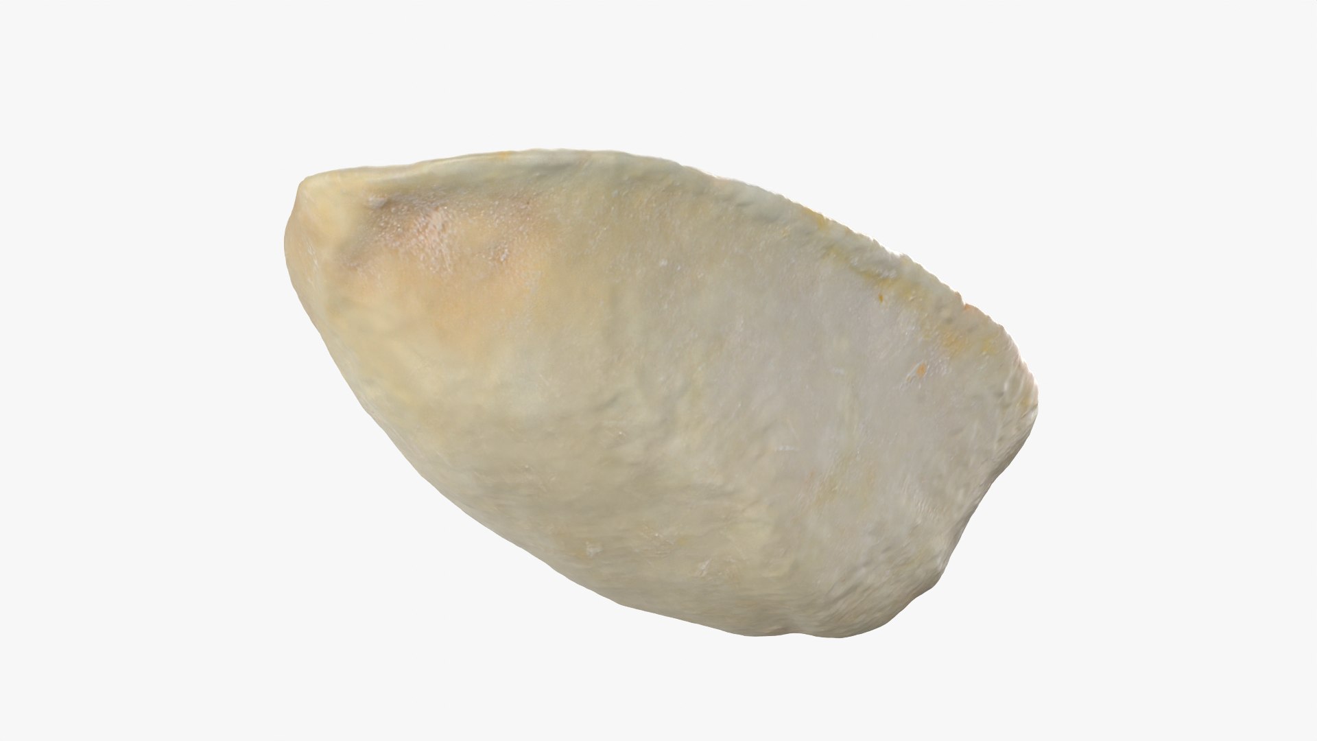 3D Empty Pistachio Shell 02 Raw Scan https://p.turbosquid.com/ts-thumb/eQ/Fg6ctJ/pr/pistachioshell2_0007/png/1755085736/1920x1080/fit_q87/bff587bc26ecec04ffa953225e36a544c2505d47/pistachioshell2_0007.jpg