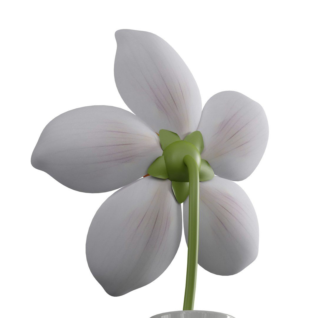 Flower in a jug Anemone 3D model https://p.turbosquid.com/ts-thumb/eQ/Hbx6ik/4t/c0017/jpg/1734207967/1920x1080/fit_q87/ecee6d21a7747318db98f4752b57471bf3dba34e/c0017.jpg