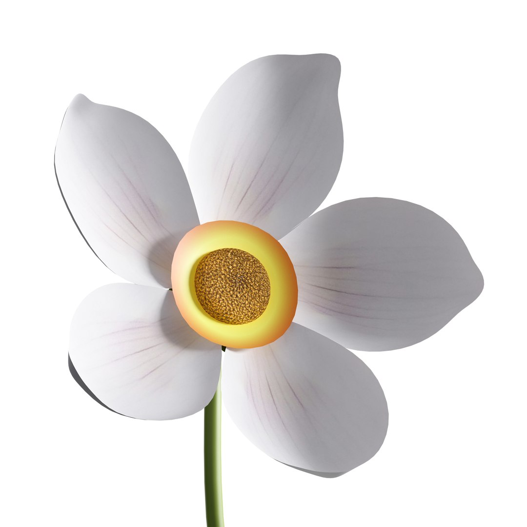 Flower in a jug Anemone 3D model https://p.turbosquid.com/ts-thumb/eQ/Hbx6ik/Pc/c0013/jpg/1734207965/1920x1080/fit_q87/7d59334ce8638232a2042c0d7f50635f5aa915bb/c0013.jpg