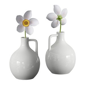 Flower in a jug Anemone 3D model