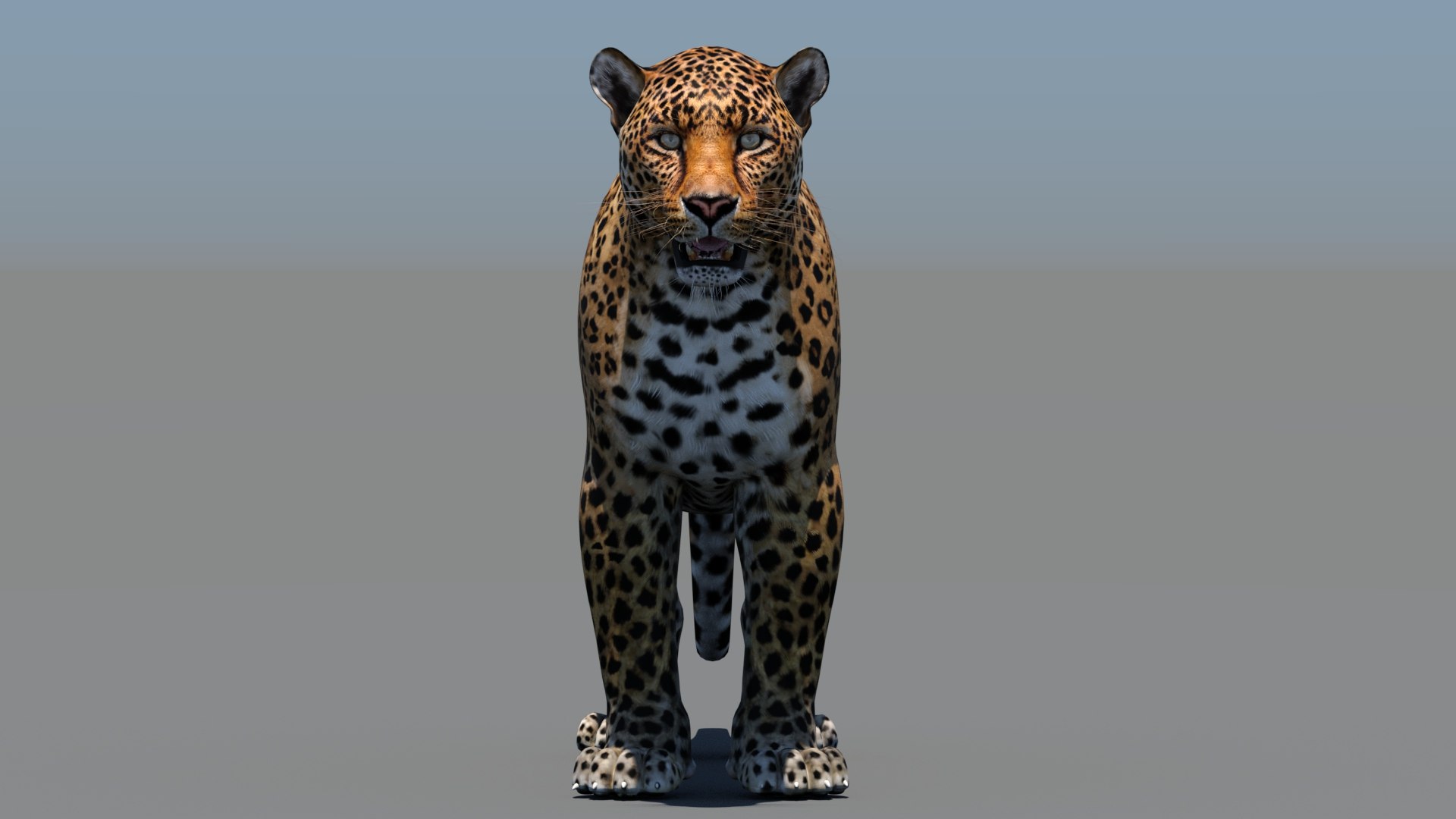 3d cat leopard feline https://p.turbosquid.com/ts-thumb/eQ/RXhunO/AZ/leopard3dmodel05/jpg/1711198893/1920x1080/fit_q87/738505c56fe6a638951177a8cabc94a3a70ed953/leopard3dmodel05.jpg
