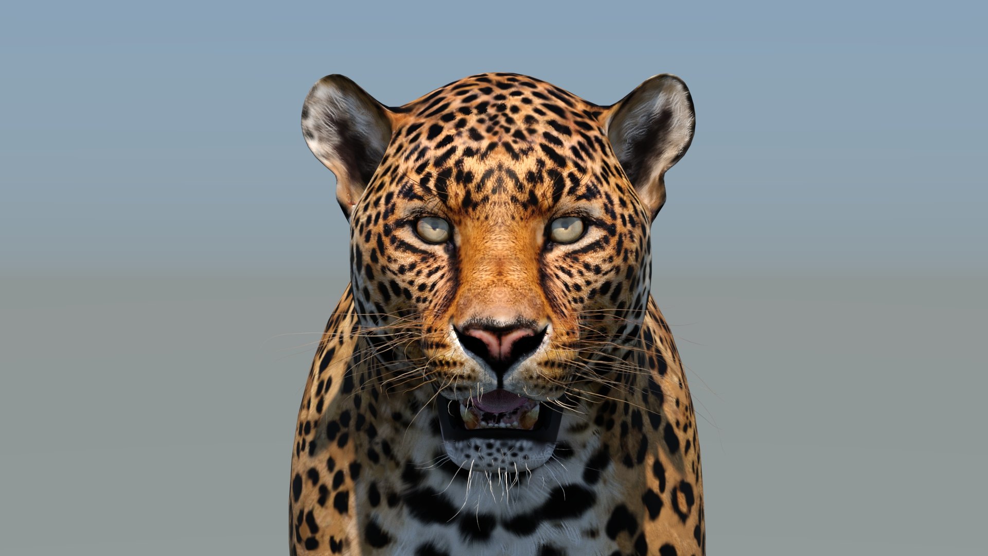 3d cat leopard feline https://p.turbosquid.com/ts-thumb/eQ/RXhunO/EX/leopard3dmodel14/jpg/1711198898/1920x1080/fit_q87/50280017e5dd09666c5be881db300f0161a964be/leopard3dmodel14.jpg