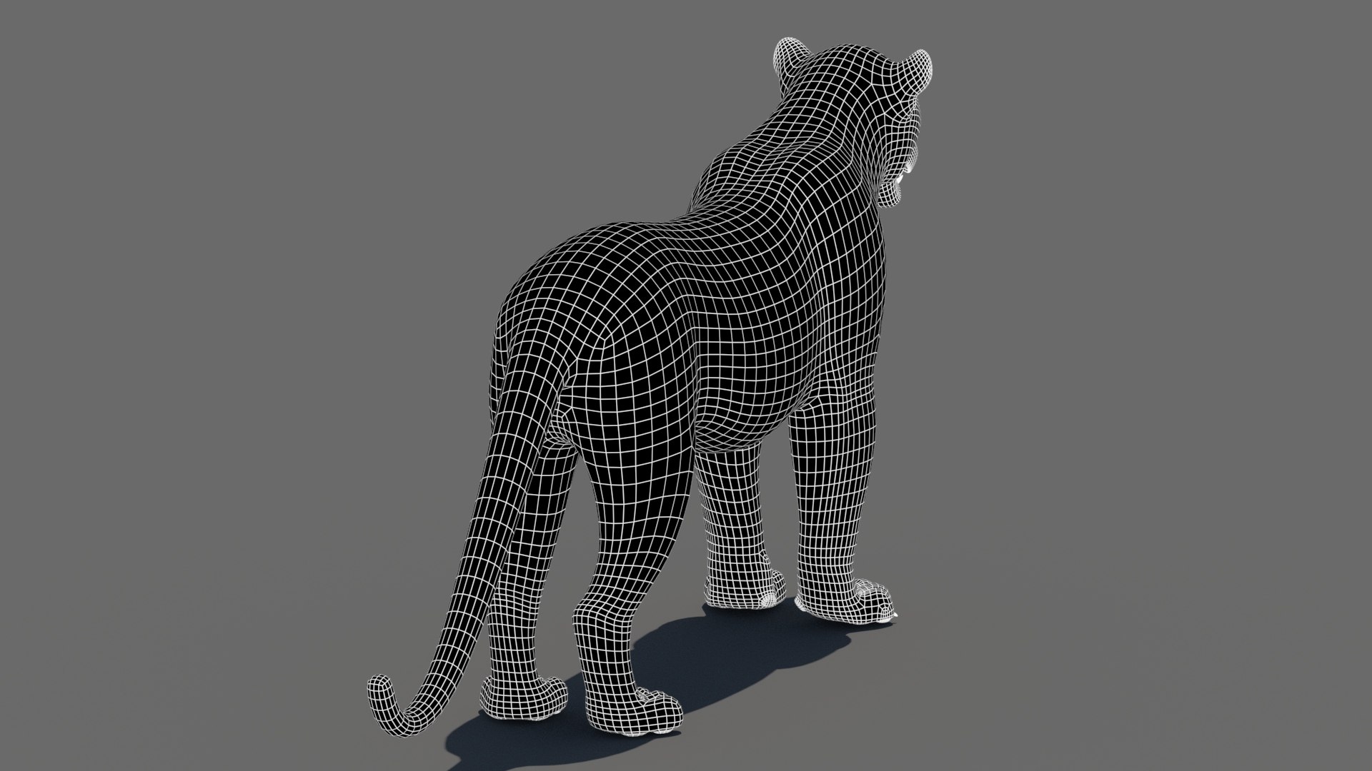 3d cat leopard feline https://p.turbosquid.com/ts-thumb/eQ/RXhunO/FX/leopard3dmodelwireframe04/jpg/1711198932/1920x1080/fit_q87/3f45b93e1b837bc7003827dd93ce8dc6714bfa83/leopard3dmodelwireframe04.jpg