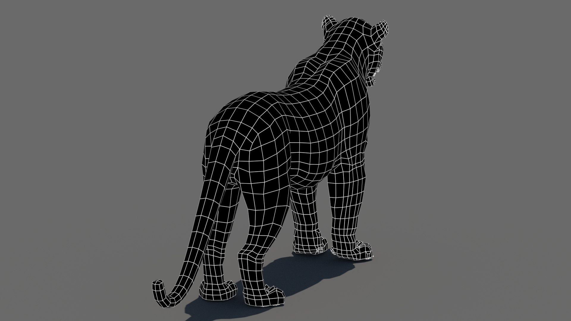 3d cat leopard feline https://p.turbosquid.com/ts-thumb/eQ/RXhunO/ij/leopard3dmodelwireframe03/jpg/1711198932/1920x1080/fit_q87/b5d68fbd2a3d67dea9b328af8885ab660fc9e63a/leopard3dmodelwireframe03.jpg