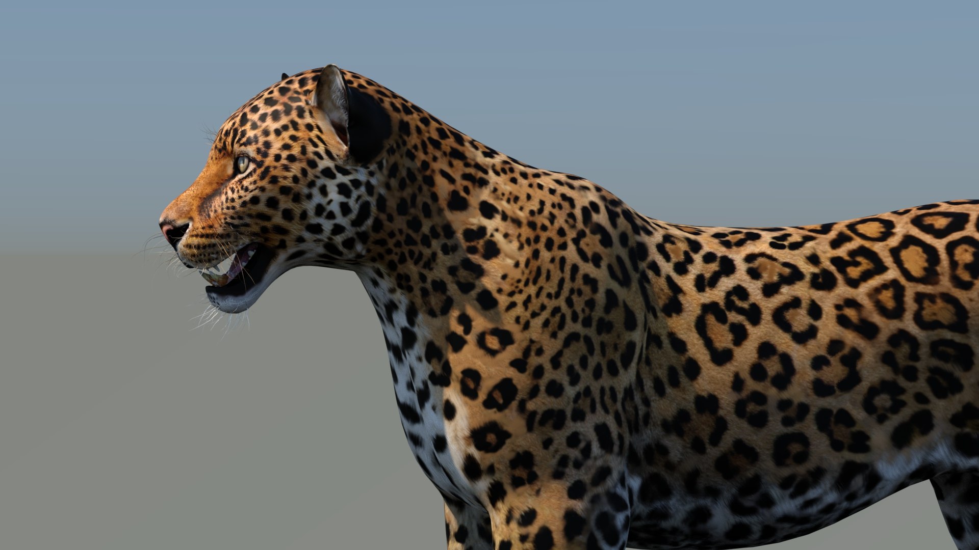 3d cat leopard feline https://p.turbosquid.com/ts-thumb/eQ/RXhunO/yS/leopard3dmodel11/jpg/1711198896/1920x1080/fit_q87/07ad36e08d4cf682448daabf0e520ea8a36a6653/leopard3dmodel11.jpg