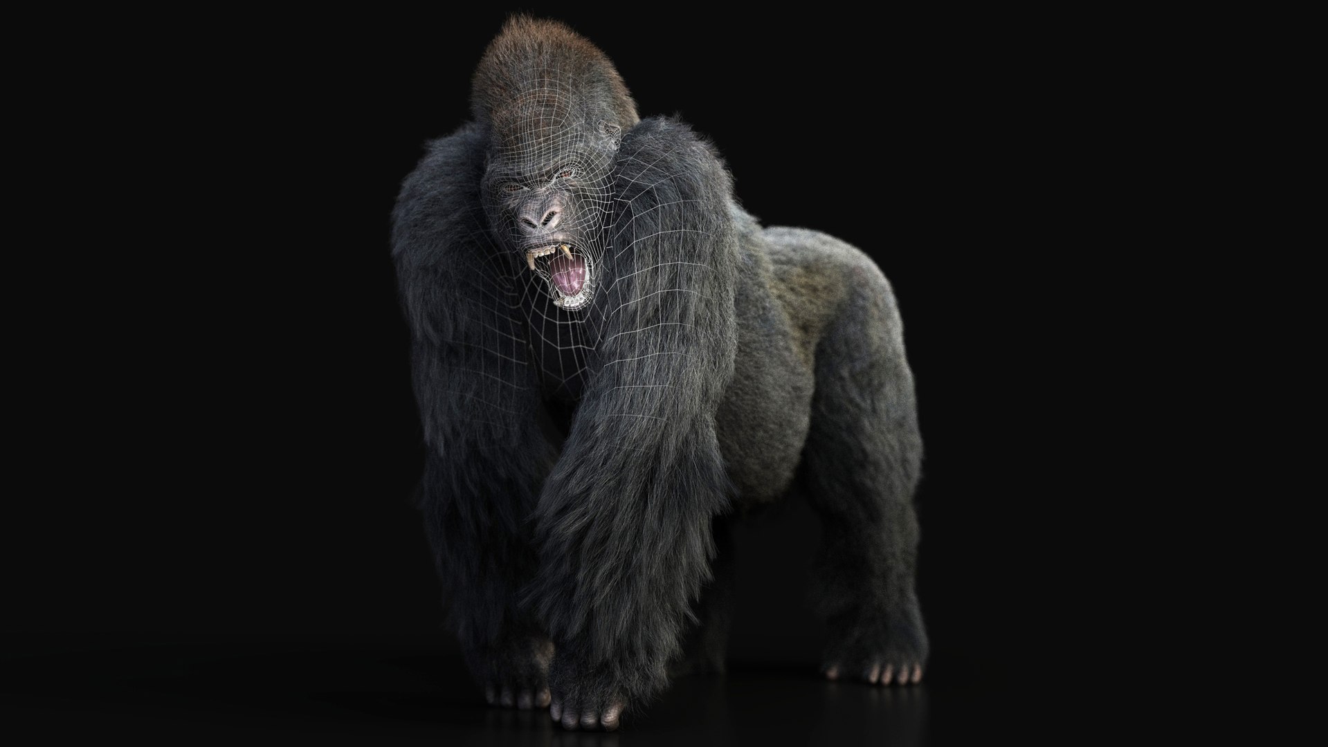 gorilla rig xgen-core model https://p.turbosquid.com/ts-thumb/eQ/lS5jns/BE/11/jpg/1607247277/1920x1080/fit_q87/1b82d9663ef054257d1beefcb9466562174b5c7a/11.jpg